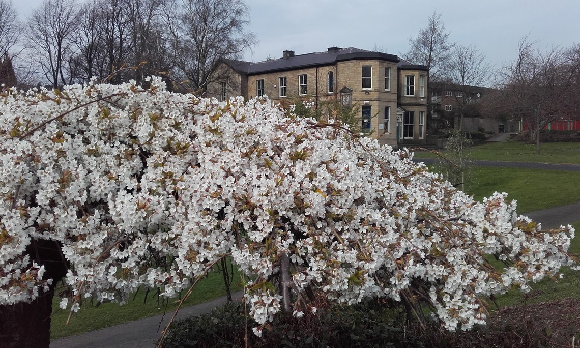 Abbeyfield House March 2017