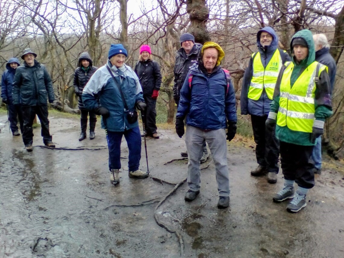 Eccy Woods in the rain Feb 2018