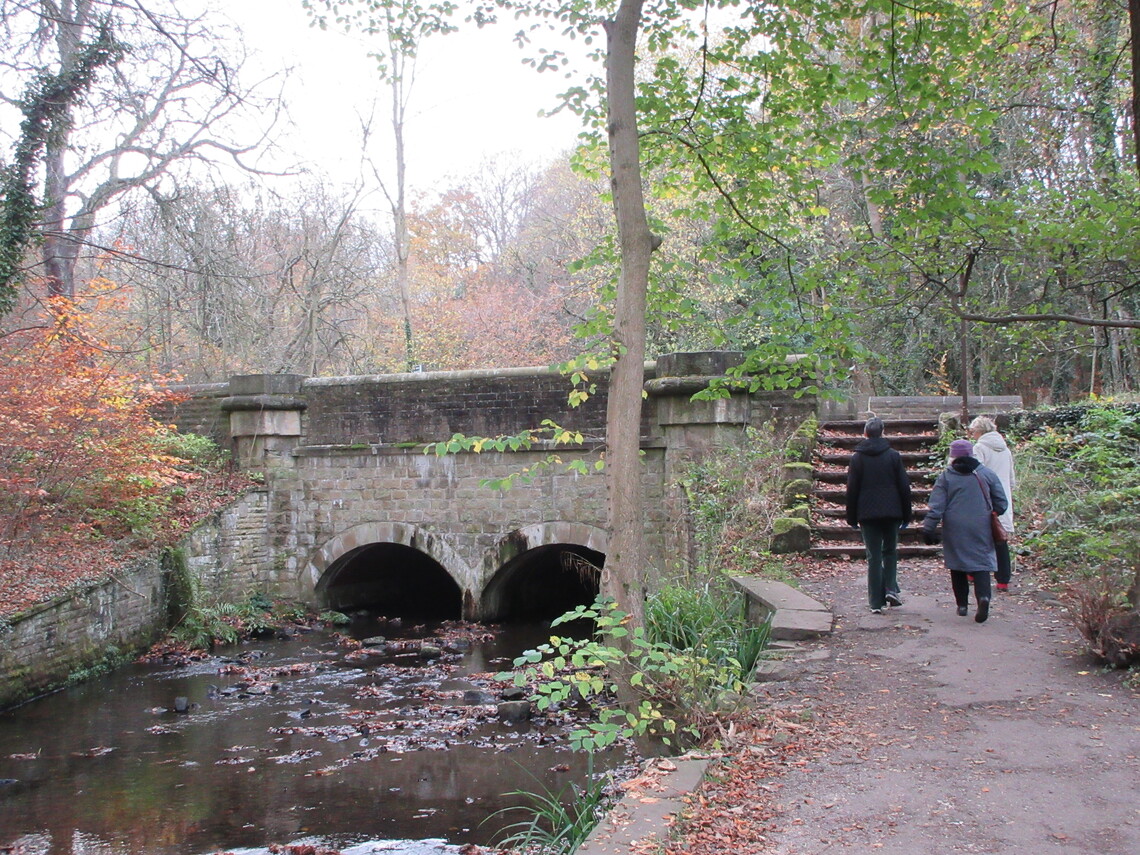 Endcliffe Park 4 Nov 2021