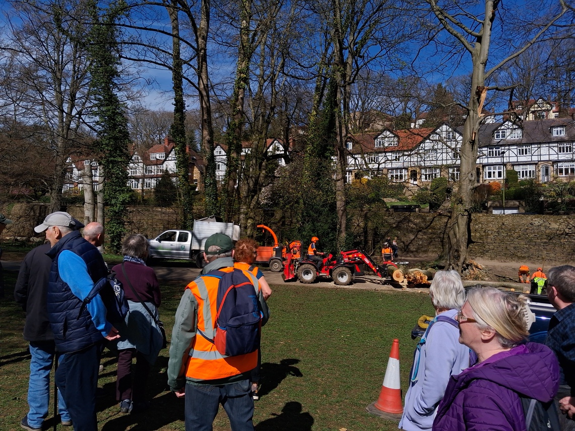 Log cutting April 2026