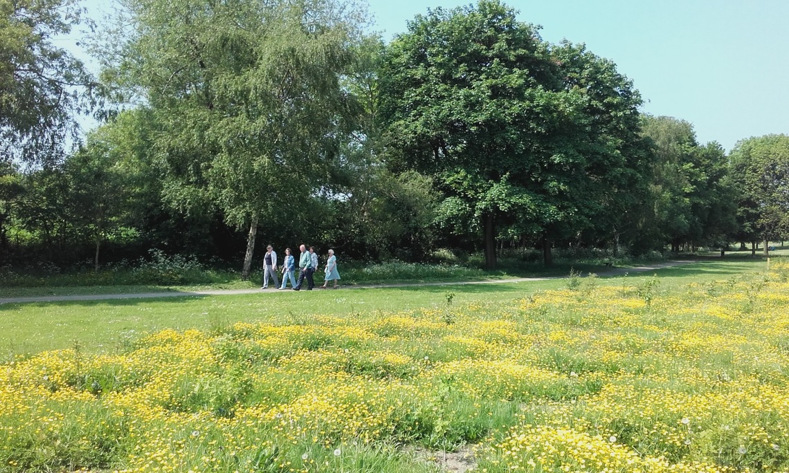 Lowedges part way round park