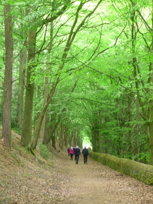 Stocksbridge at Bradfield May 2019 walking