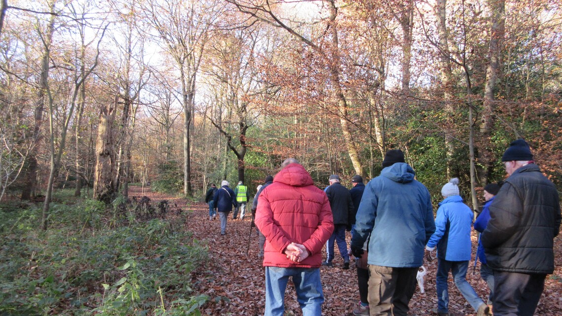 Stocksbridge at Grenoside - Autumn 2021