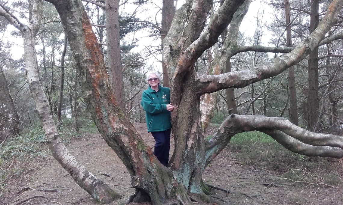 Stocksbridge at Langsett - Jackie in tree