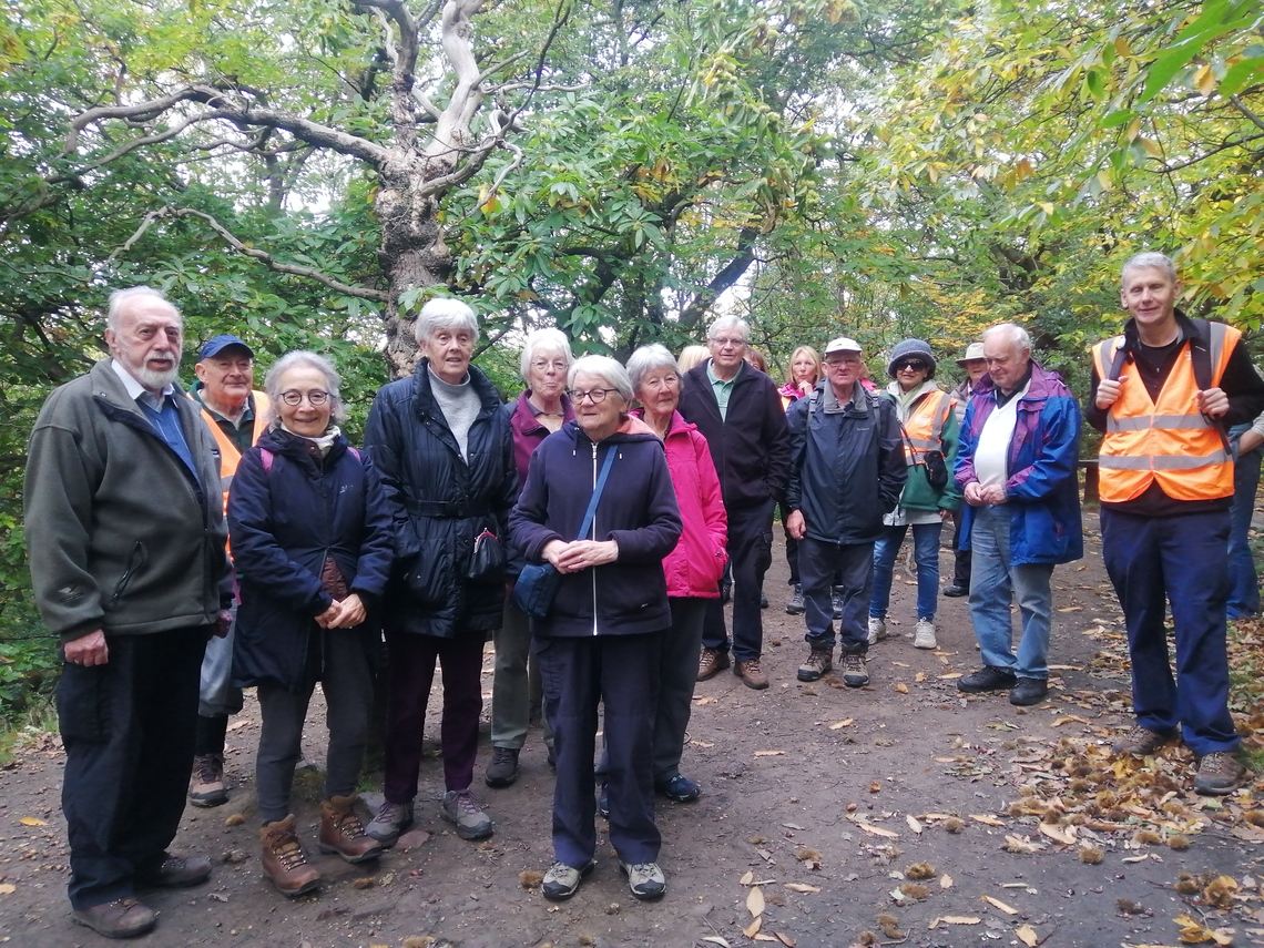WDC walkers 9.10.25