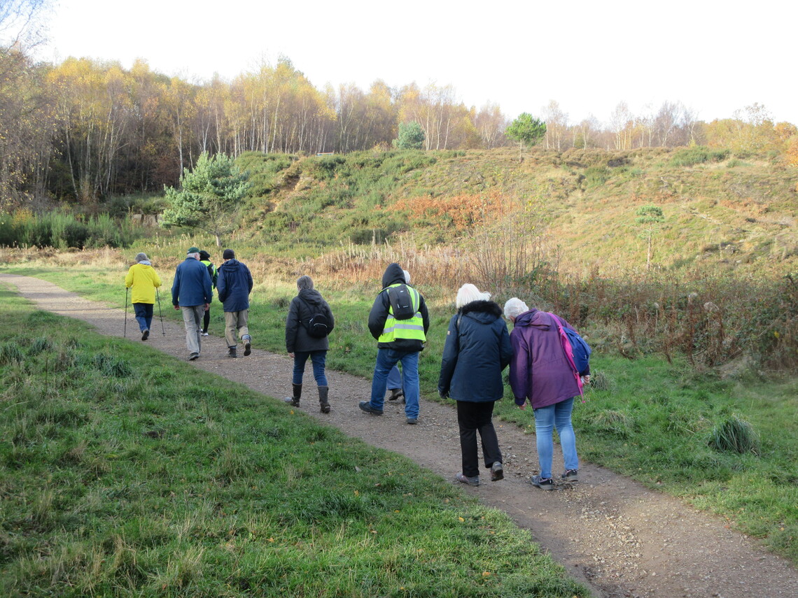 Wisewood Common Nov 2021 5