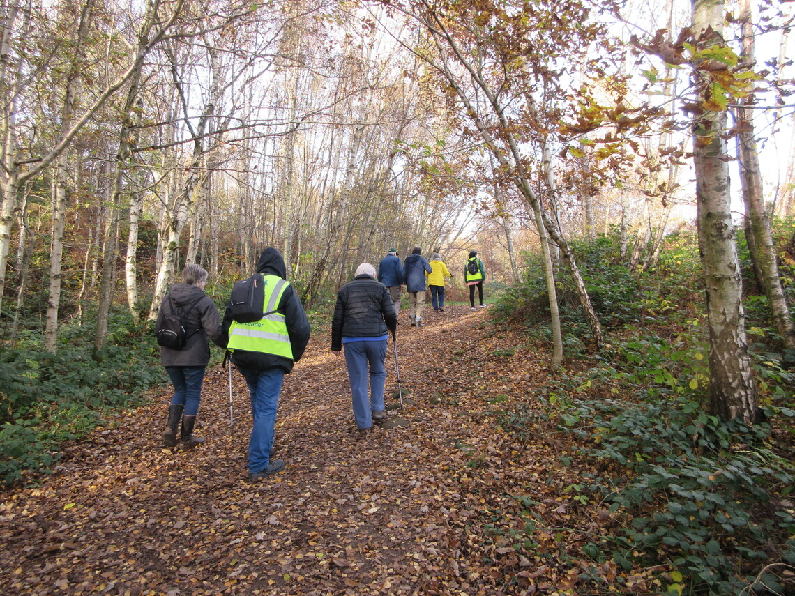 Wisewood Common Nov 2021 8