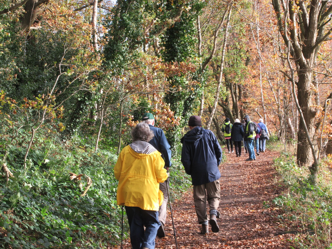 Wisewood Common Nov 21 12